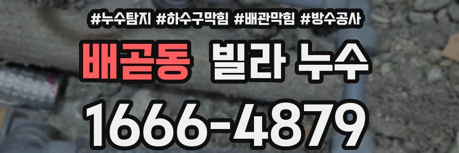 배곧동 빌라 누수