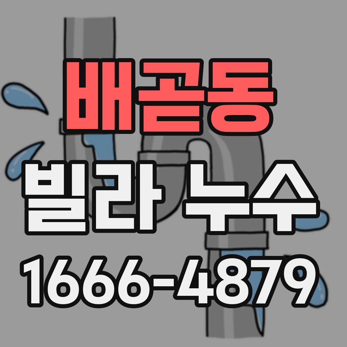 배곧동 빌라 누수