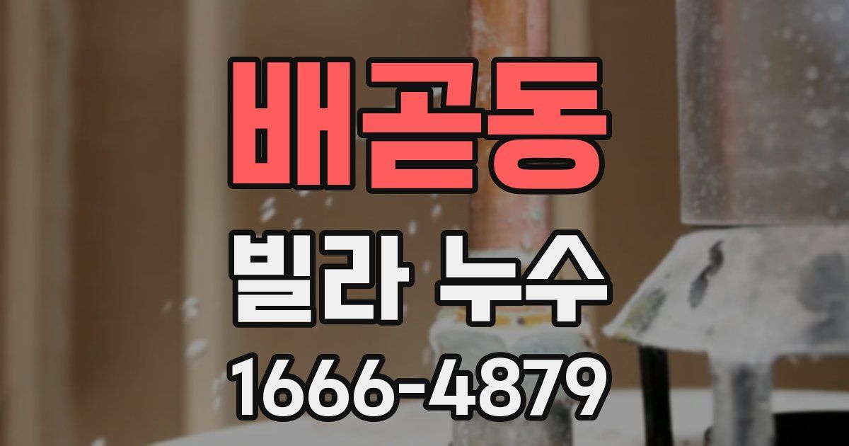 배곧동 빌라 누수