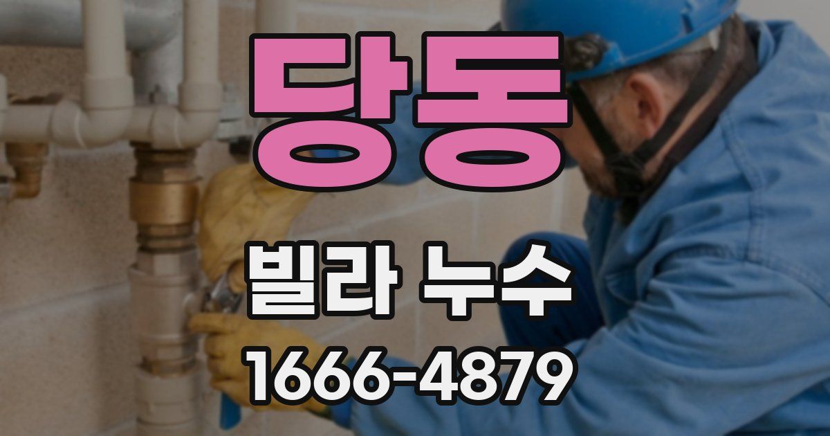당동 빌라 누수