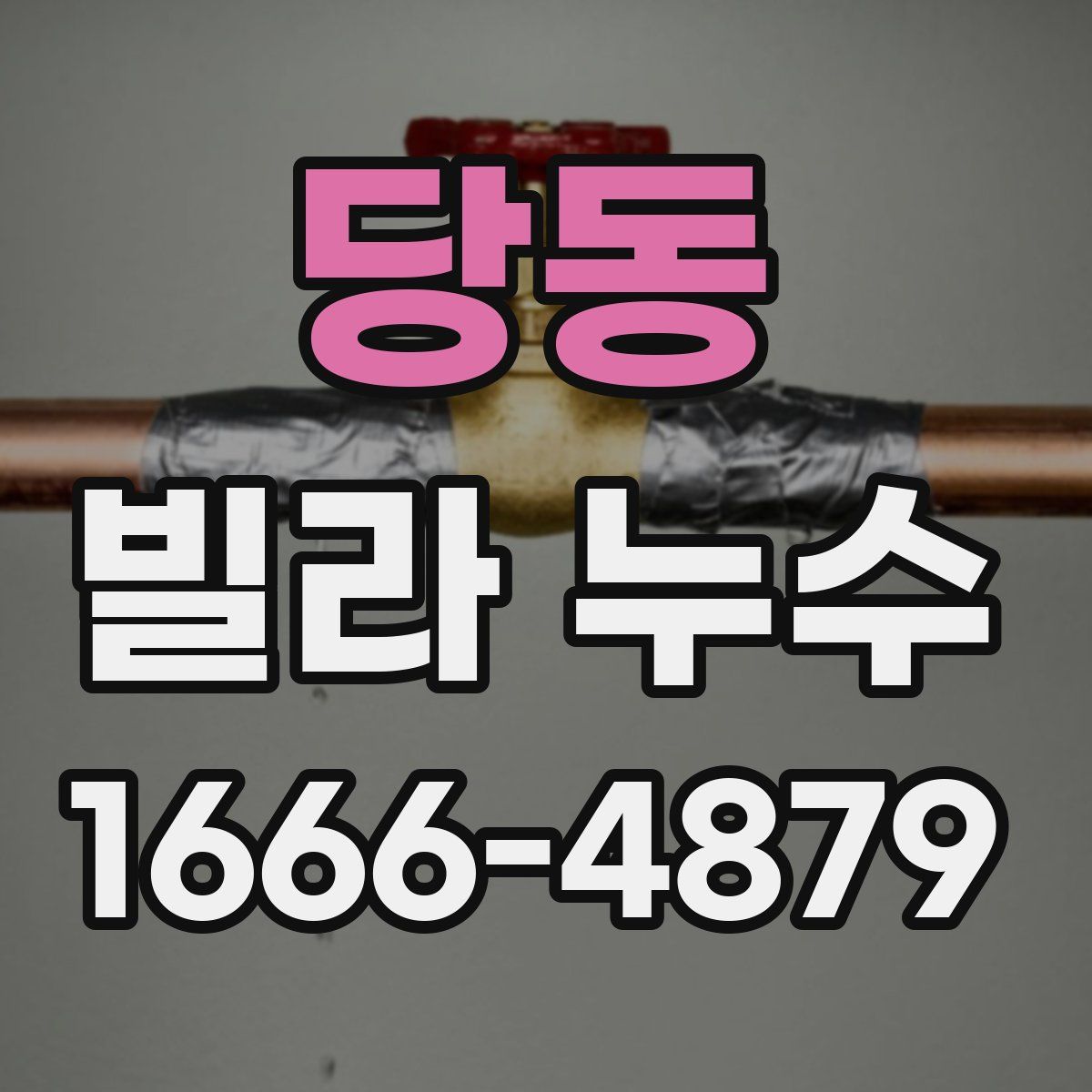 당동 빌라 누수