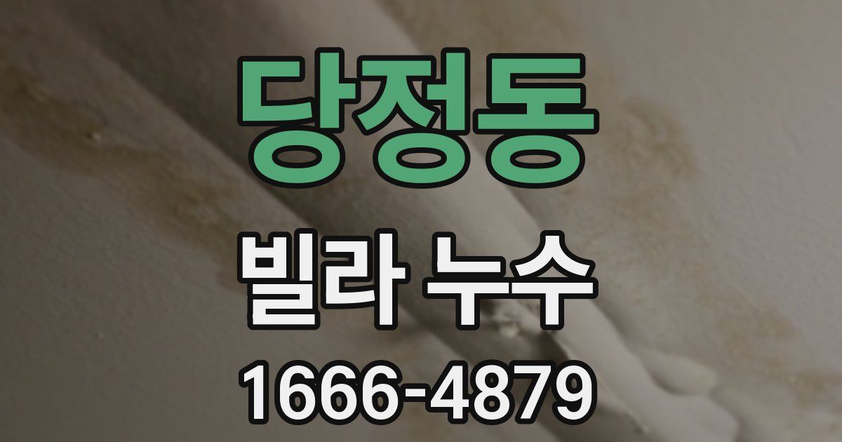 당정동 빌라 누수