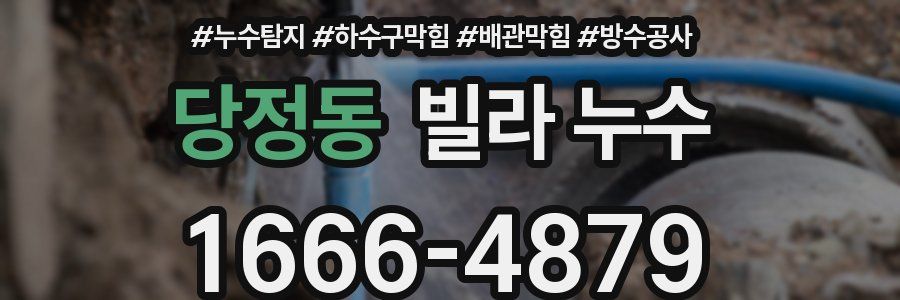 당정동 빌라 누수