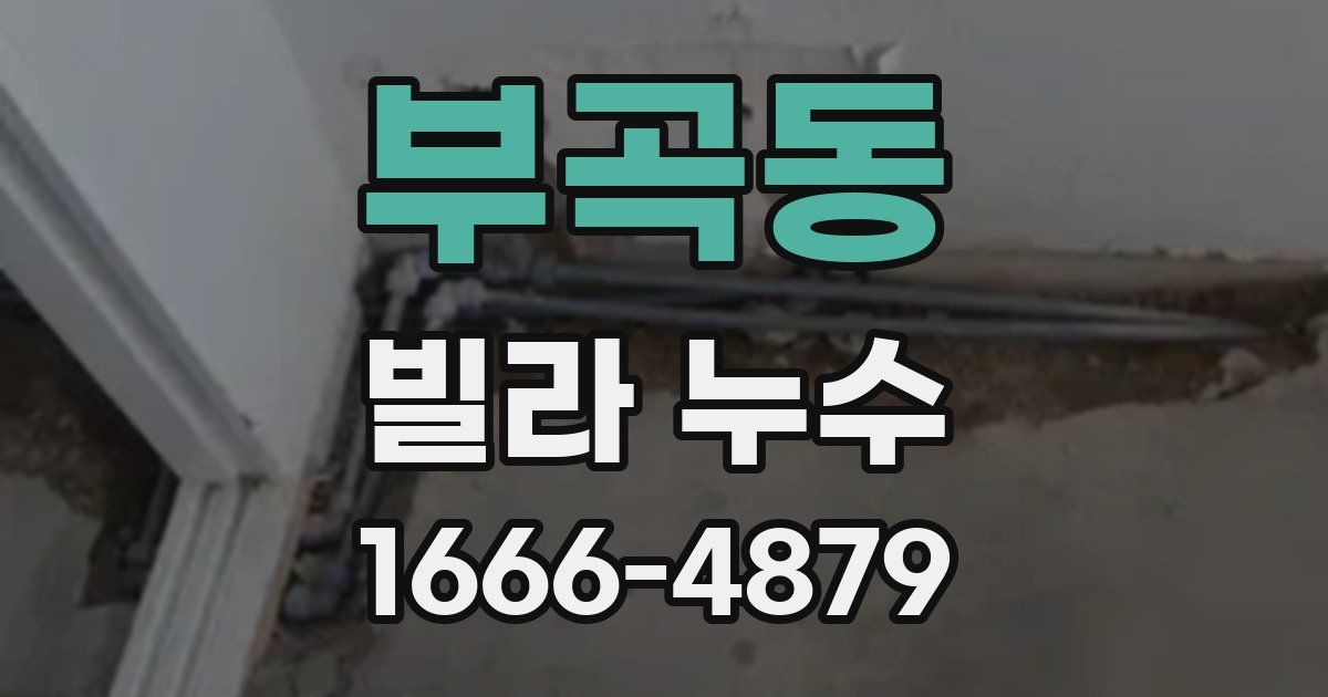 부곡동 빌라 누수