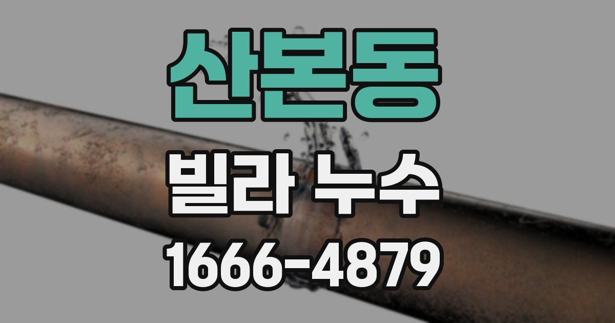 산본동 빌라 누수