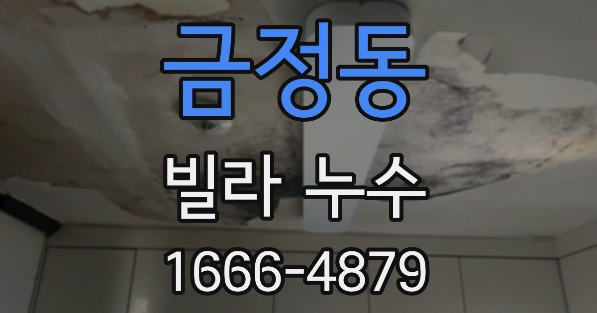 금정동 빌라 누수