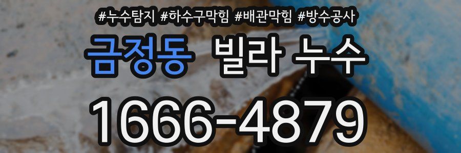 금정동 빌라 누수