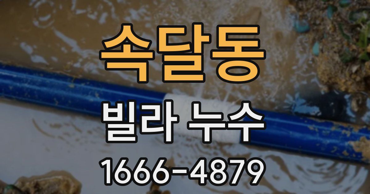 속달동 빌라 누수