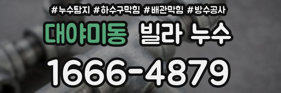 대야미동 빌라 누수