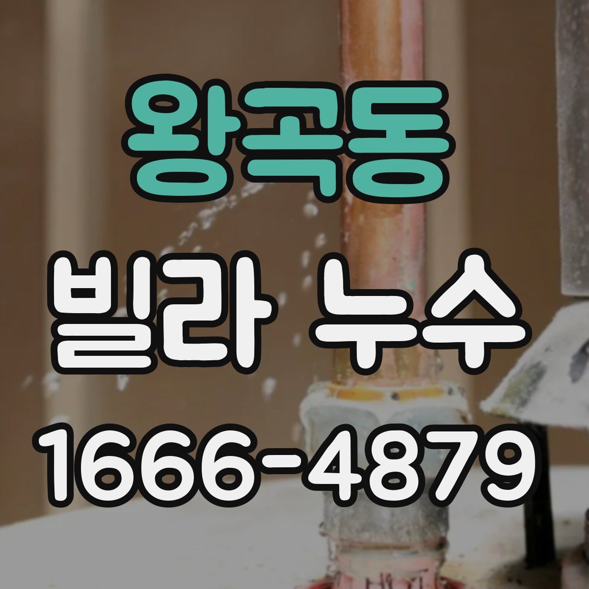 왕곡동 빌라 누수