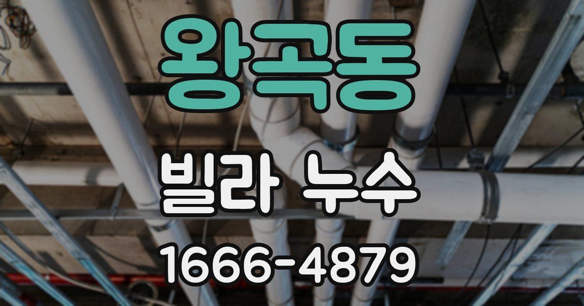 왕곡동 빌라 누수