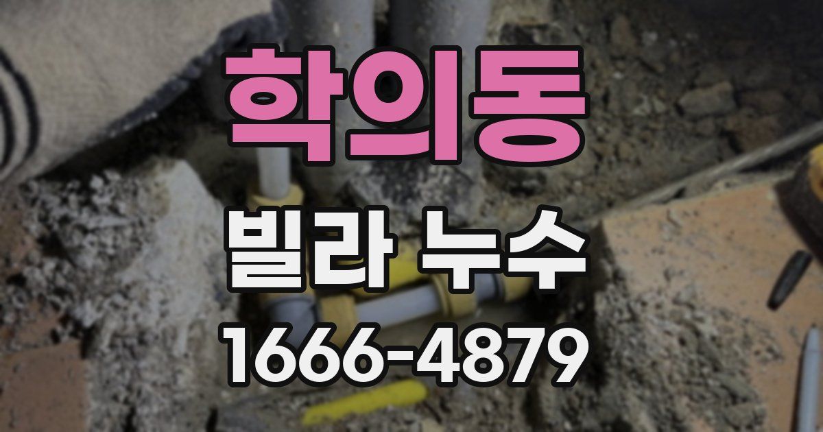 학의동 빌라 누수