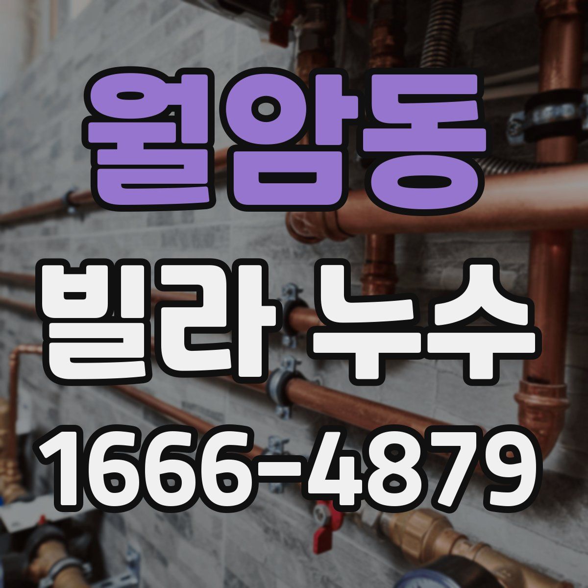 월암동 빌라 누수
