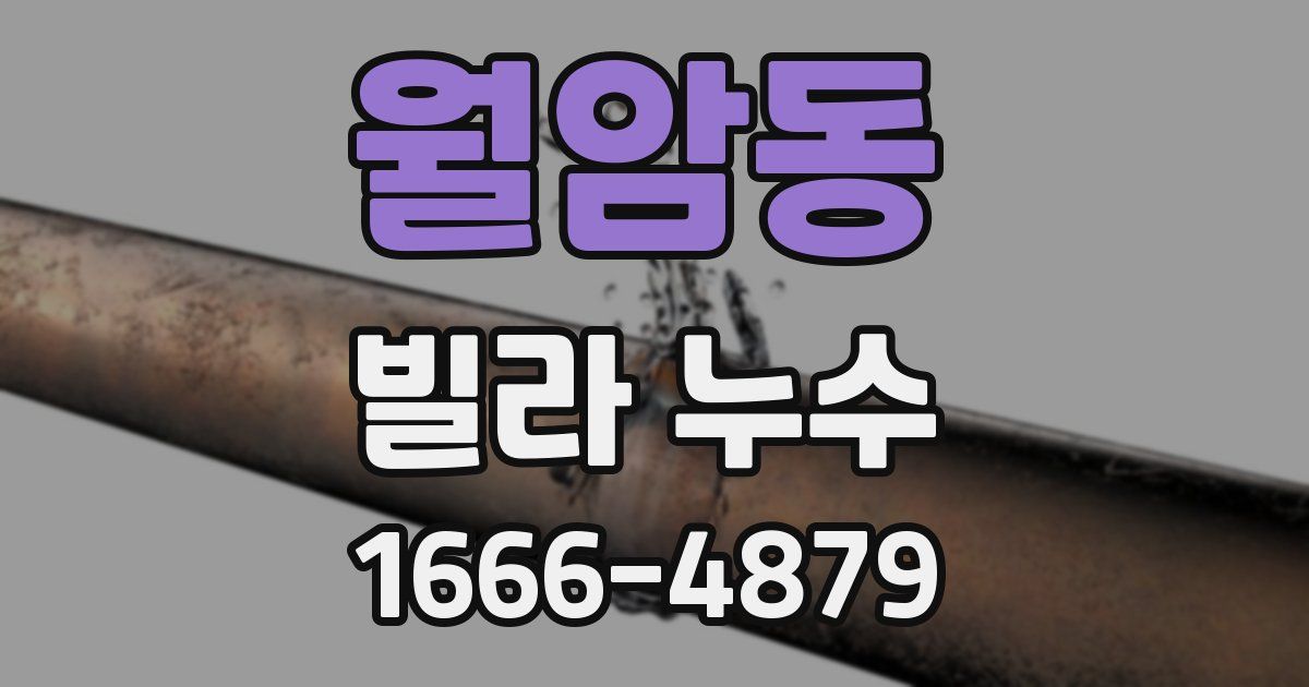 월암동 빌라 누수