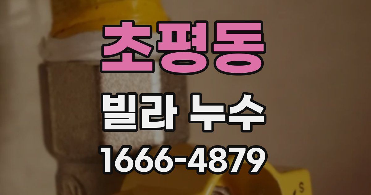초평동 빌라 누수