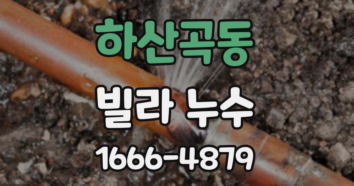 하산곡동 빌라 누수