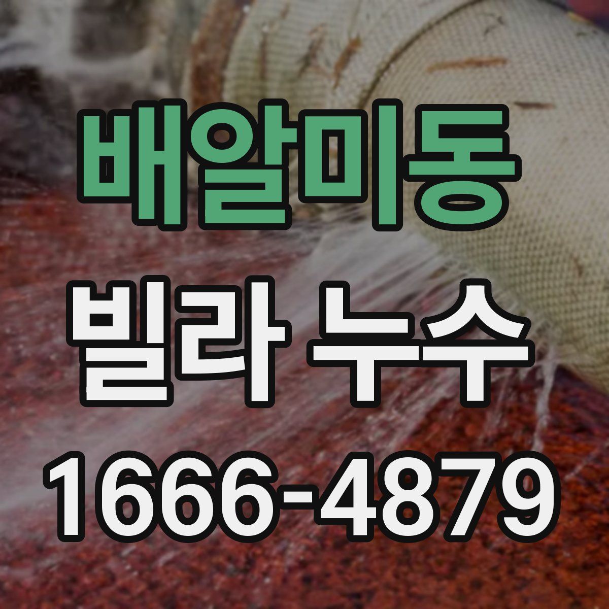 배알미동 빌라 누수