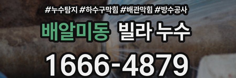 배알미동 빌라 누수