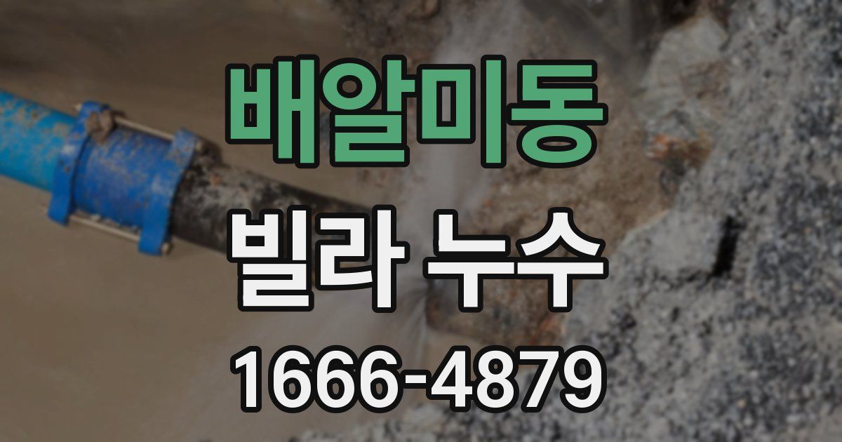 배알미동 빌라 누수