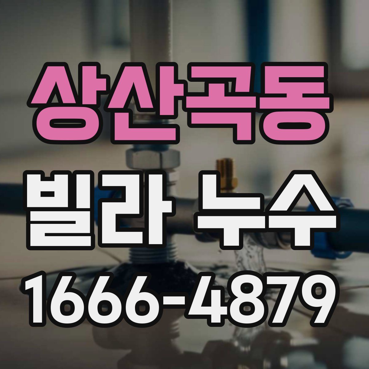 상산곡동 빌라 누수