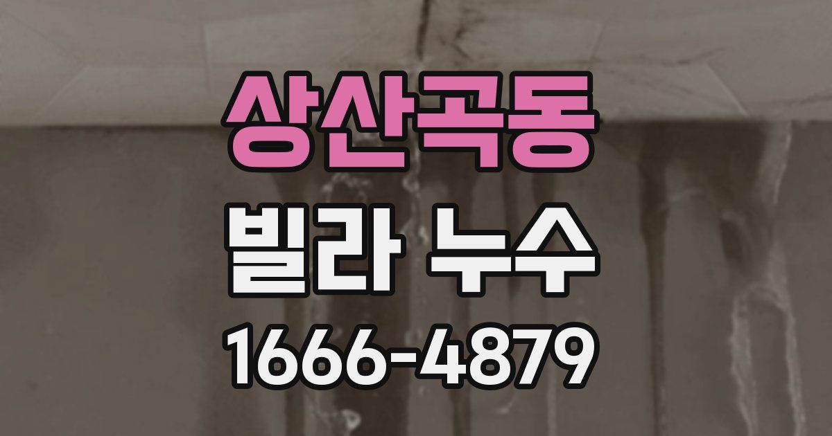 상산곡동 빌라 누수