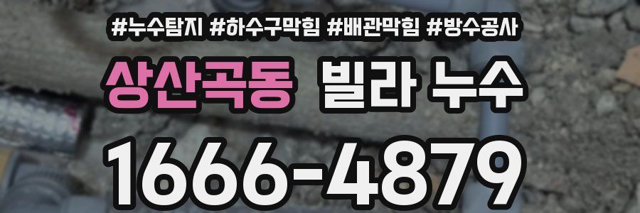 상산곡동 빌라 누수