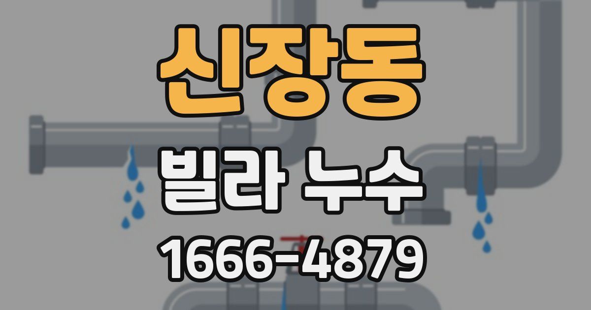 신장동 빌라 누수