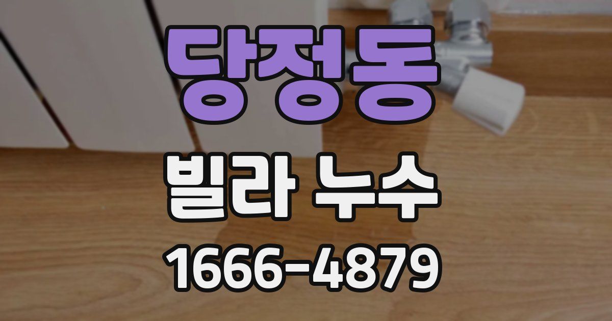 당정동 빌라 누수