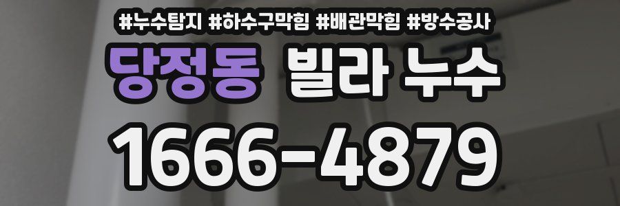 당정동 빌라 누수