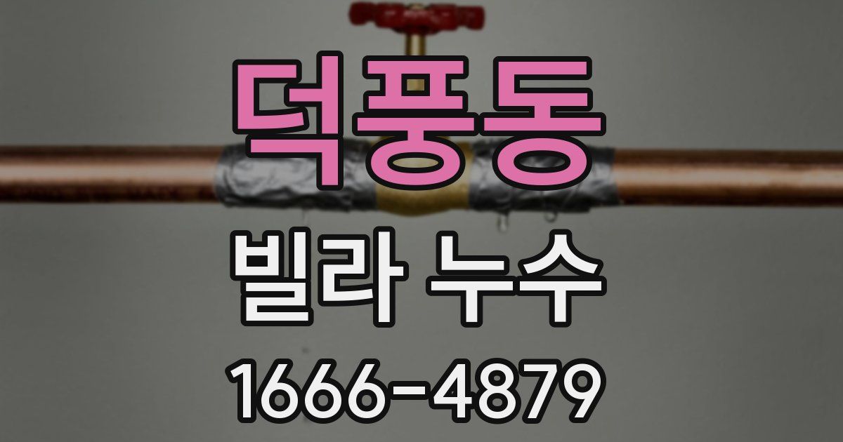 덕풍동 빌라 누수