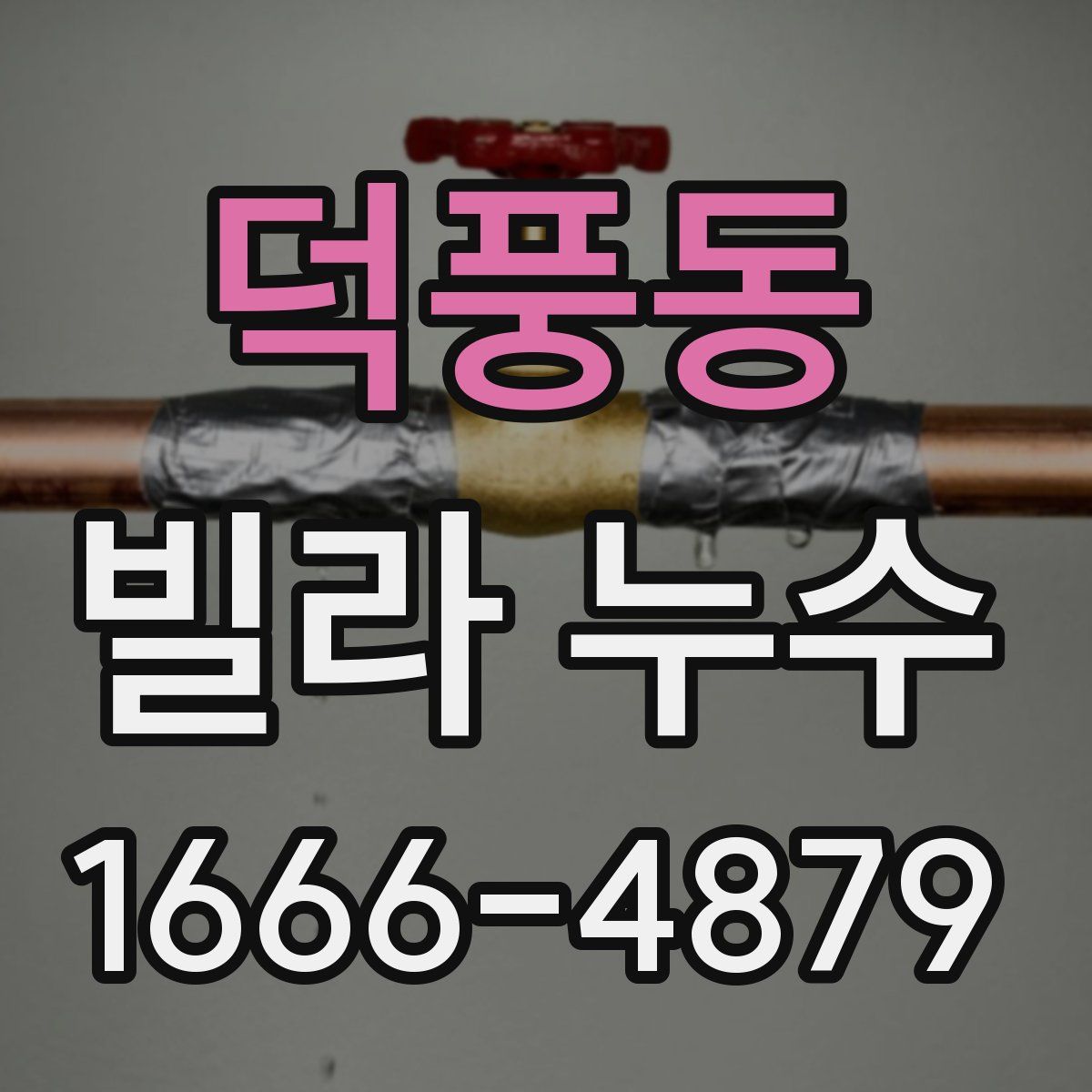 덕풍동 빌라 누수