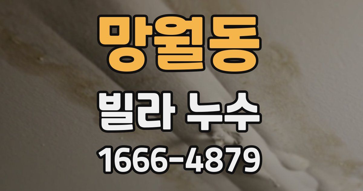 망월동 빌라 누수