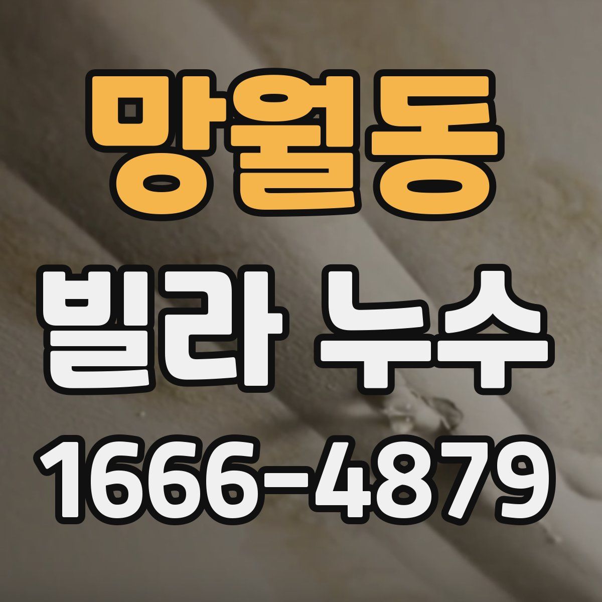 망월동 빌라 누수