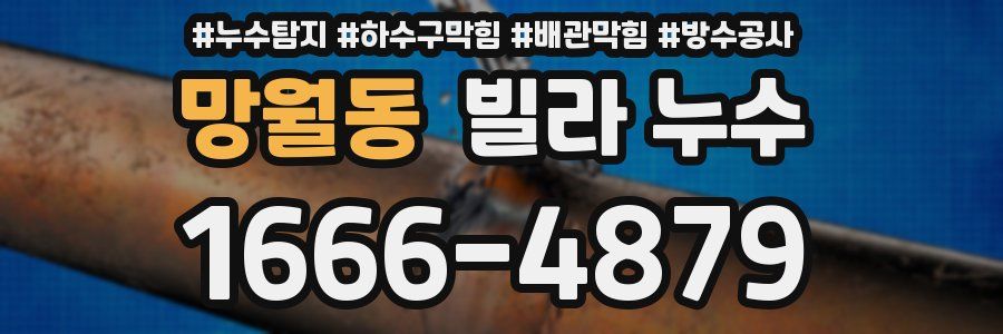 망월동 빌라 누수