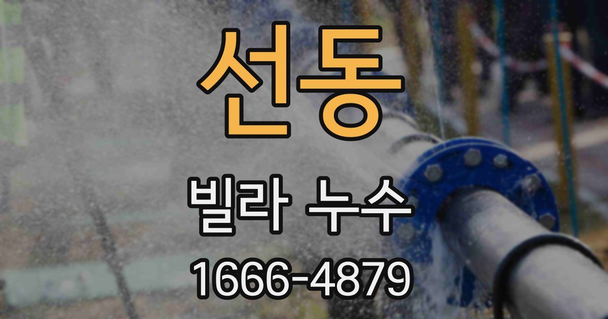 선동 빌라 누수
