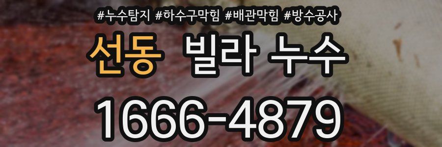 선동 빌라 누수
