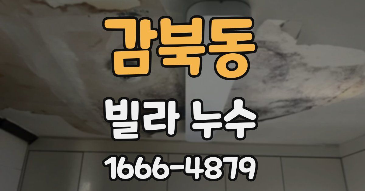 감북동 빌라 누수