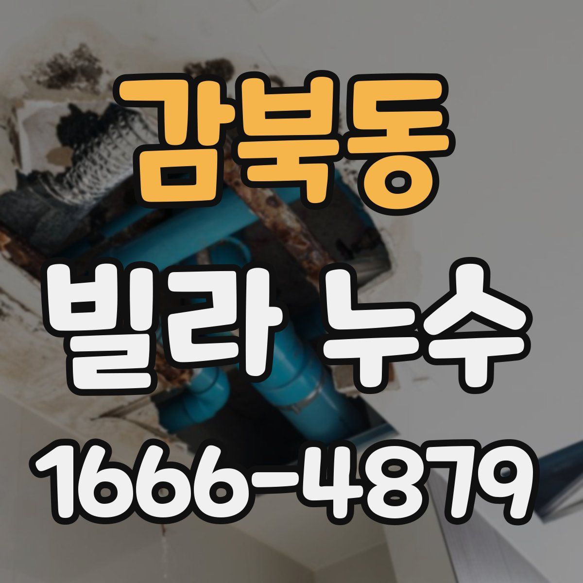 감북동 빌라 누수