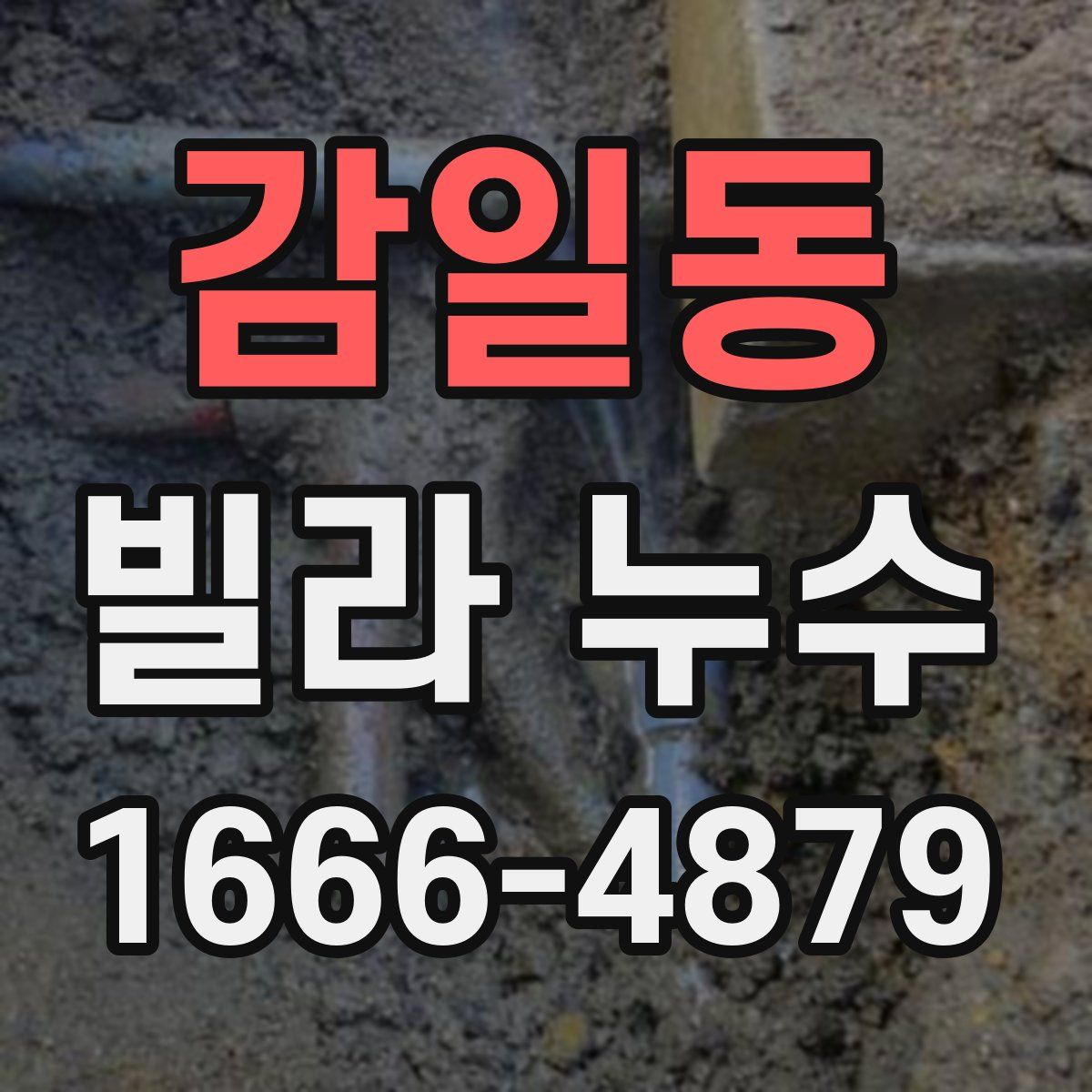 감일동 빌라 누수