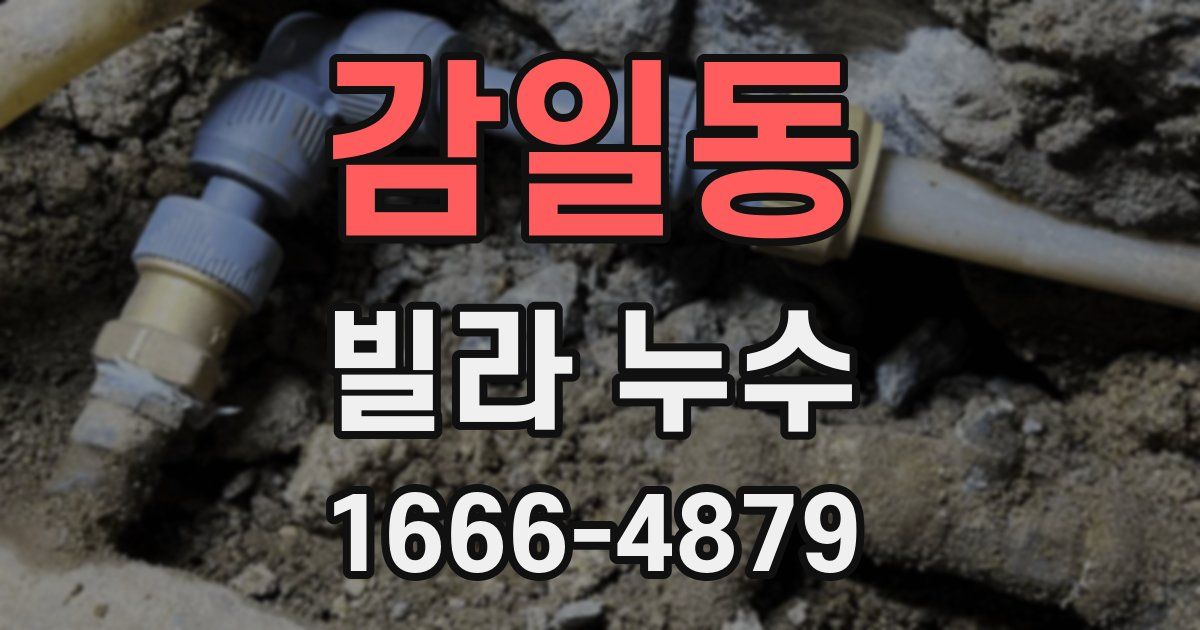감일동 빌라 누수