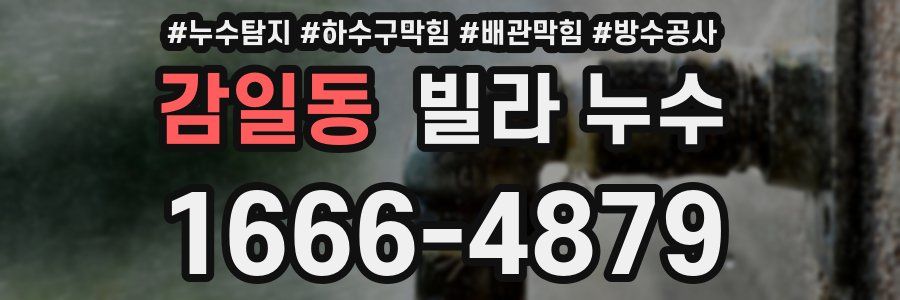 감일동 빌라 누수