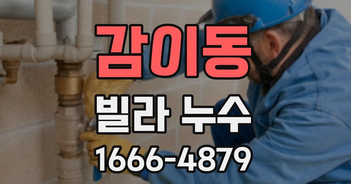 감이동 빌라 누수