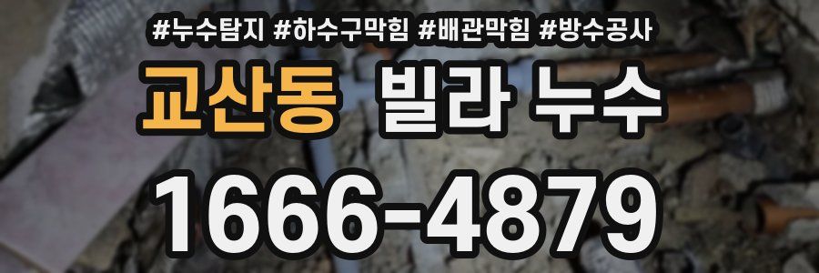 교산동 빌라 누수