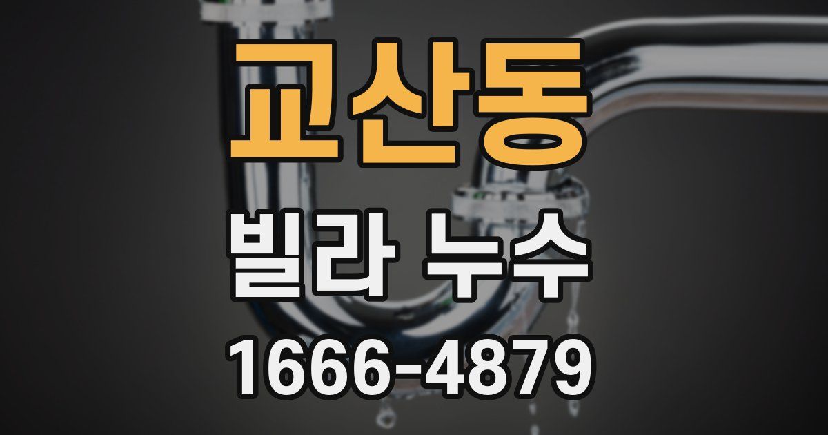 교산동 빌라 누수