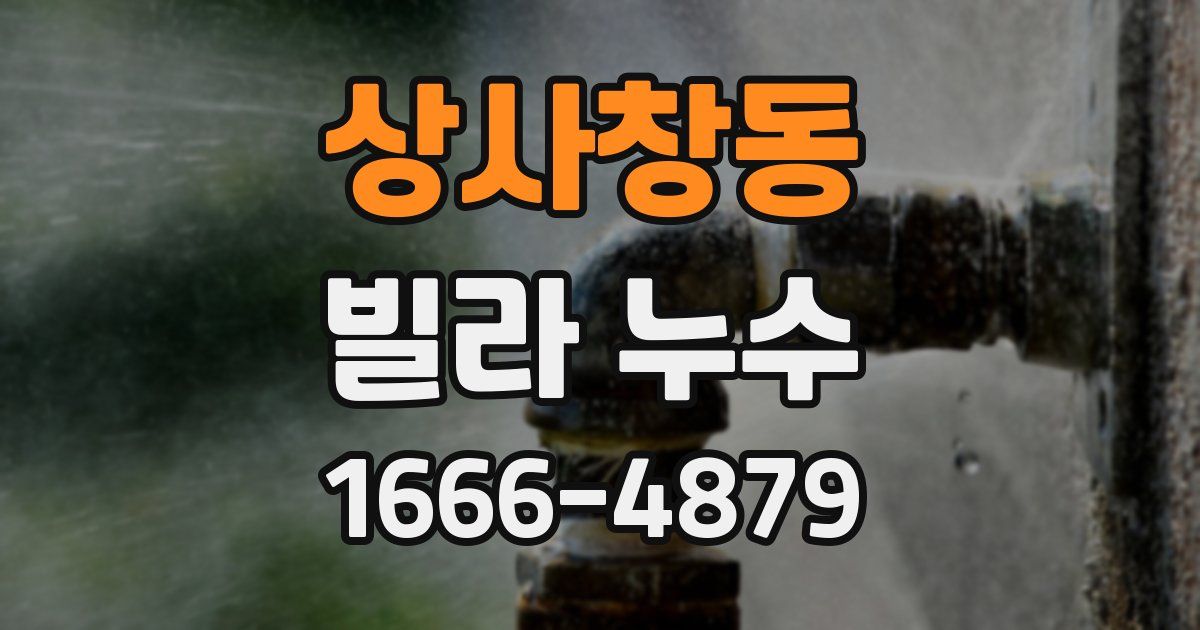 상사창동 빌라 누수