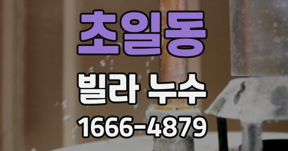 초일동 빌라 누수