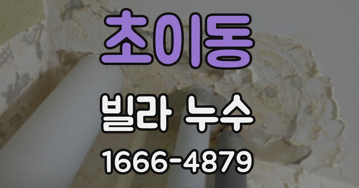 초이동 빌라 누수