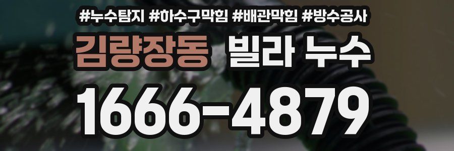 김량장동 빌라 누수