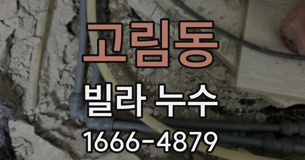 고림동 빌라 누수