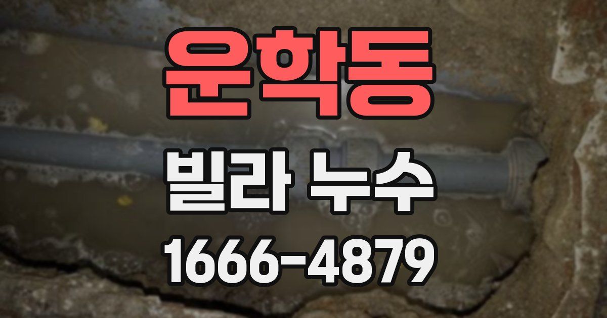 운학동 빌라 누수